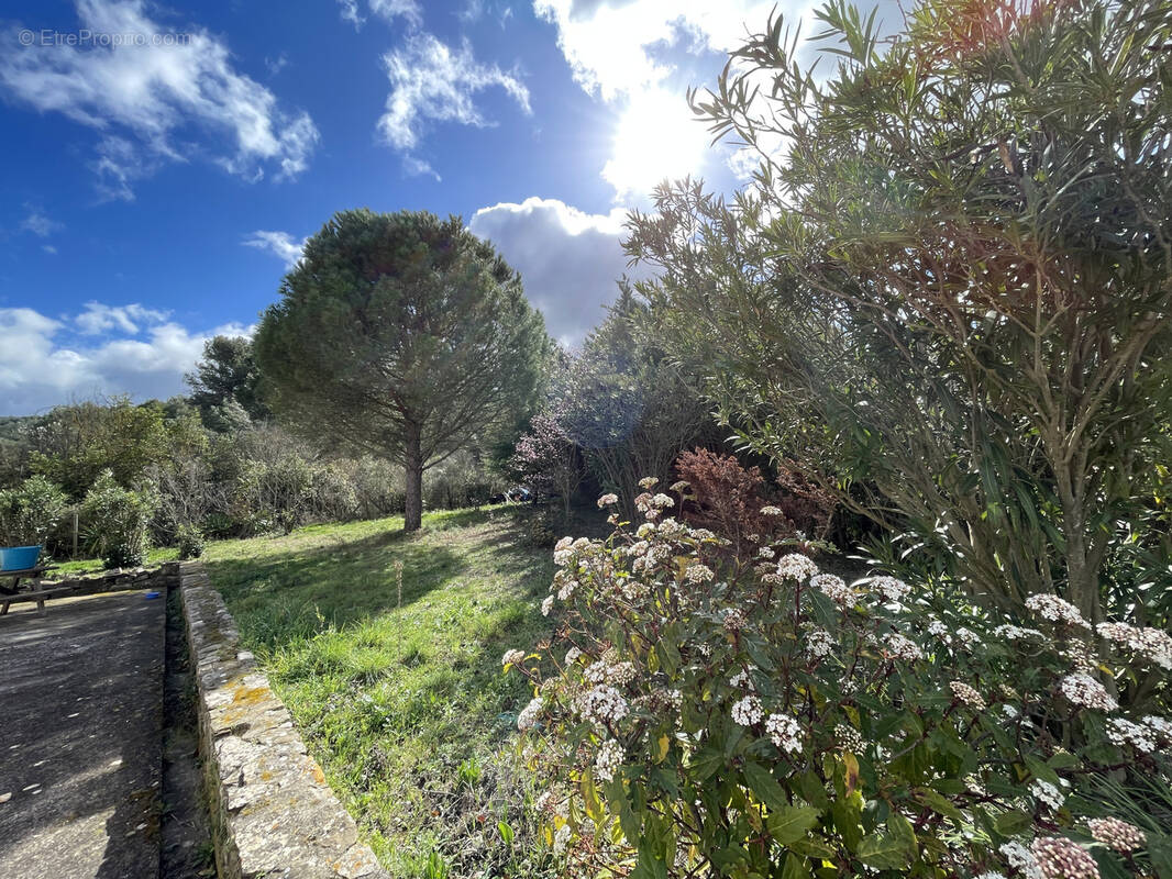 Maison à TOUROUZELLE