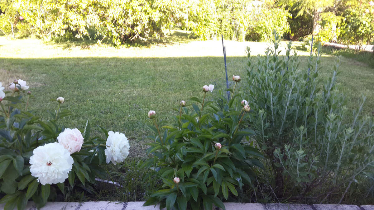 Maison à CAZES-MONDENARD