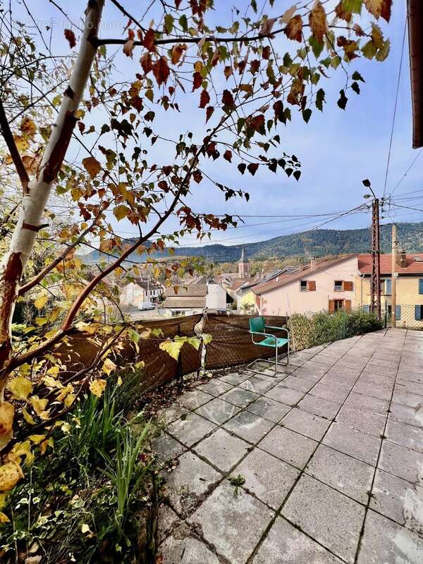 Maison à LA PETITE-RAON