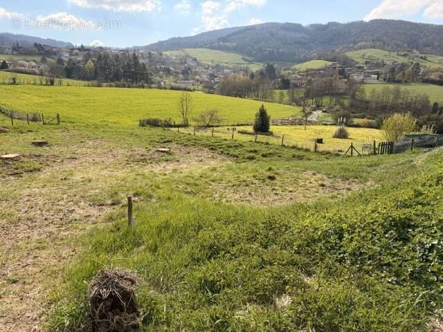 Terrain à SAINT-PIERRE-LA-PALUD