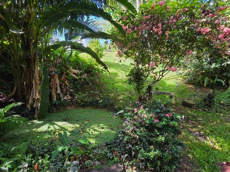 Maison à BAIE-MAHAULT