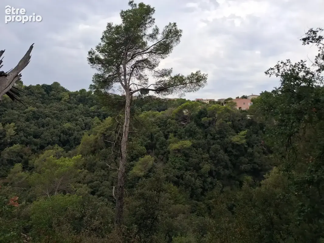 Maison indépendante haut de Cagnes - photo 3