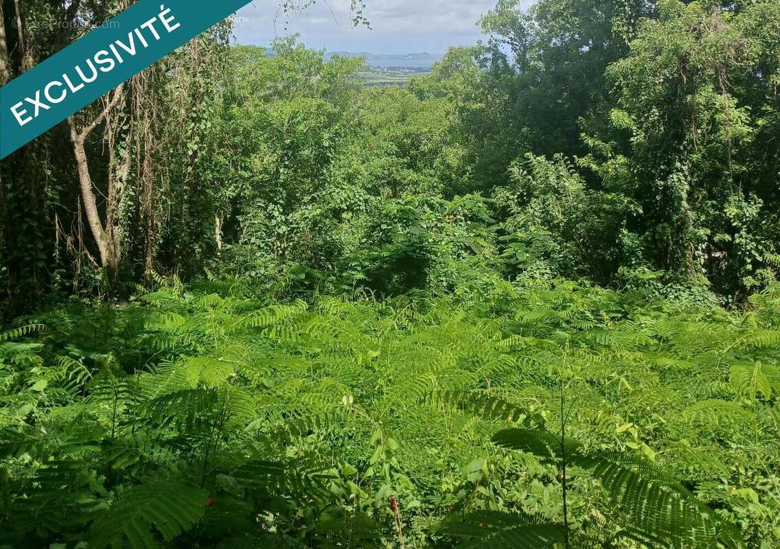 Photo 3 - Terrain à LE DIAMANT