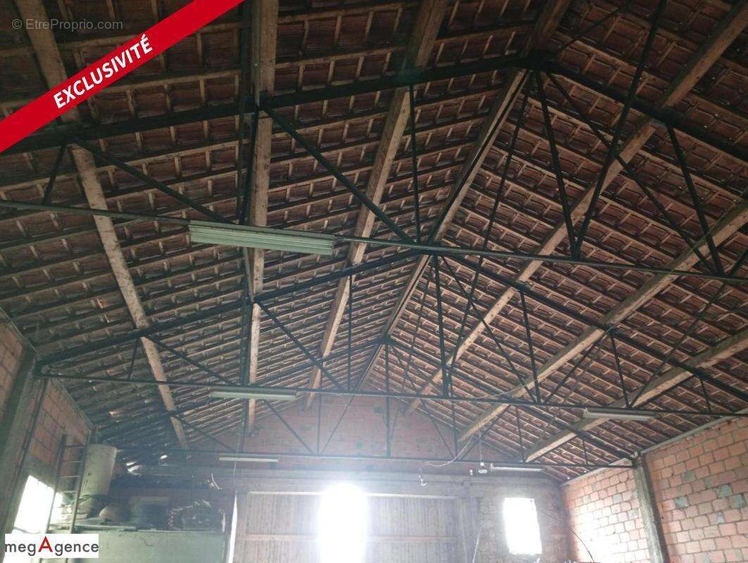 Garage/ Stockage 360 m² sur 715 m² de parcelle - photo 5