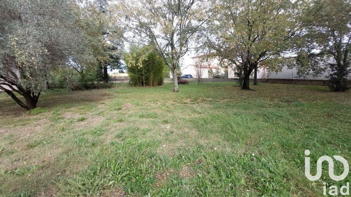 Photo 2 - Maison à SAUVE