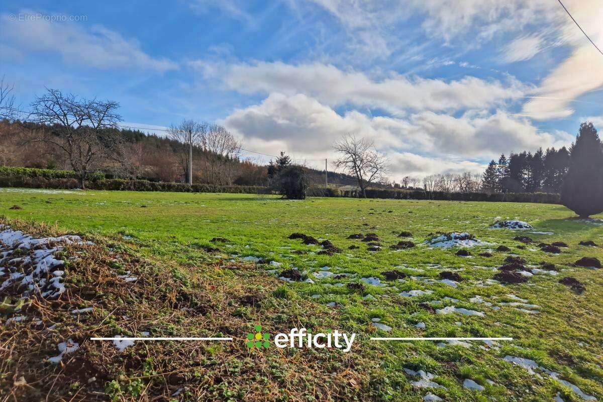 Terrain à VERNET-LA-VARENNE