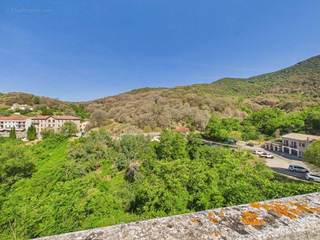 A vendre maison authentique sainte marie sicche - photo 3