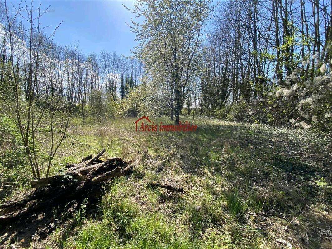 Maison à ARCIS-SUR-AUBE