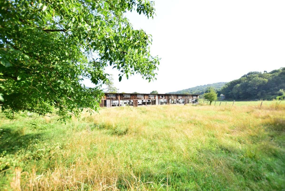 DSC_0496 - Terrain à SALIES-DU-SALAT