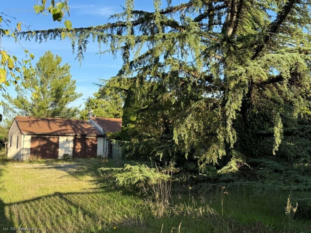 Maison à VERTEUIL-SUR-CHARENTE