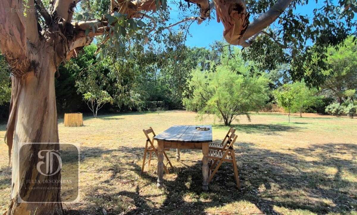 Maison à vendre 7 pièces PRADES (66) - photo 2