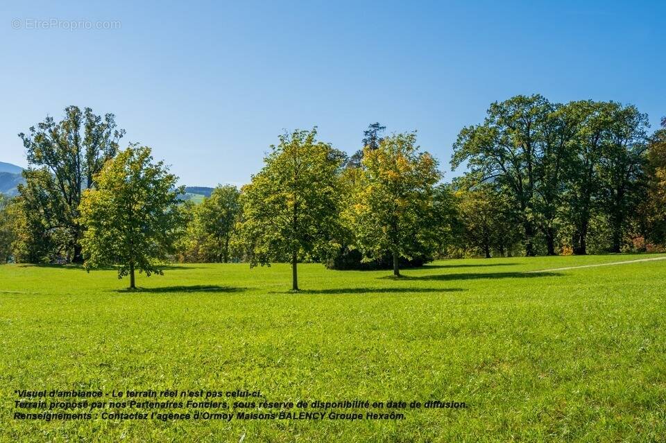 Terrain à SAINT-MAURICE-MONTCOURONNE