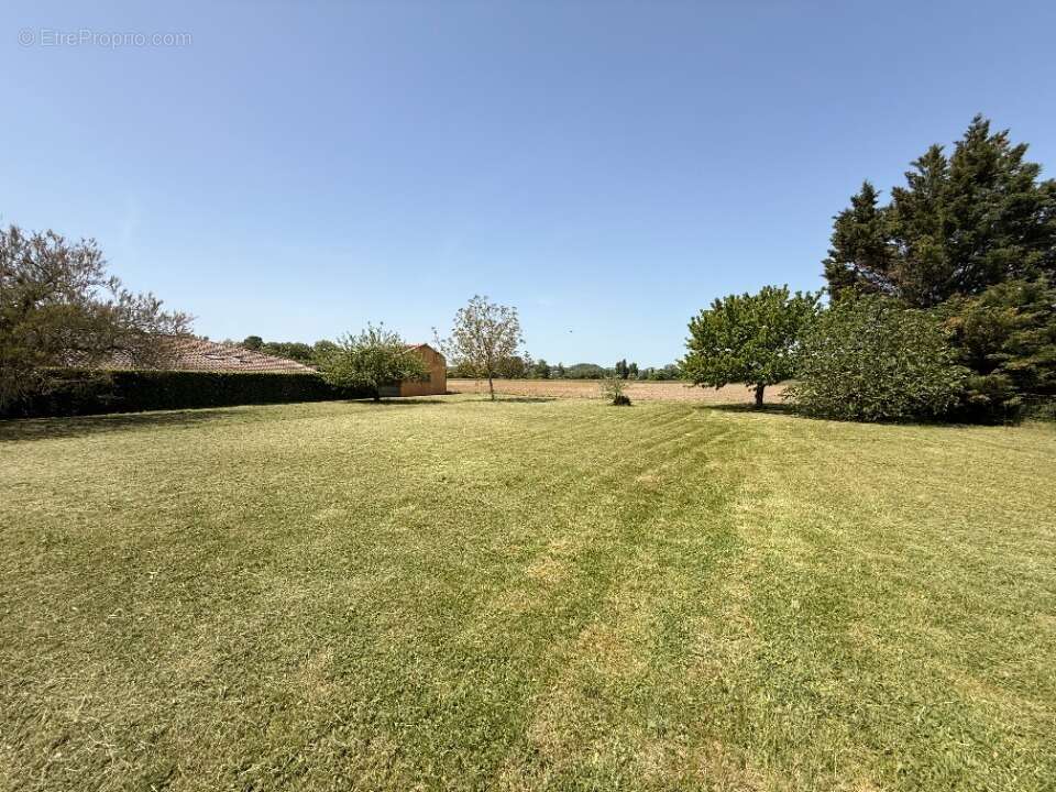 Terrain 1200 m² à Garrevaques  - photo 2