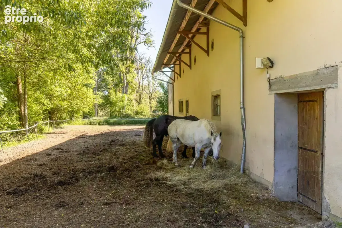 Domaine equestre - boxes-manege-carriere-appartement - photo 15