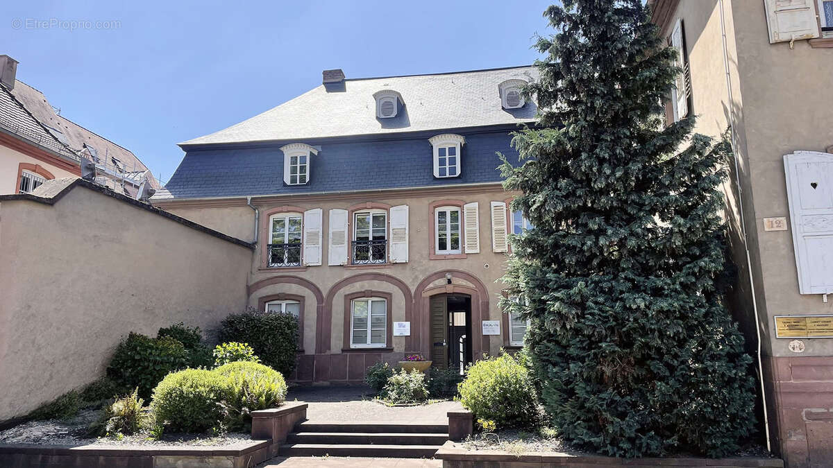 Commerce à HAGUENAU