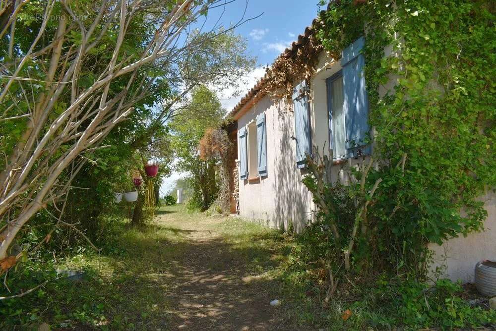 Maison à MONTAUROUX