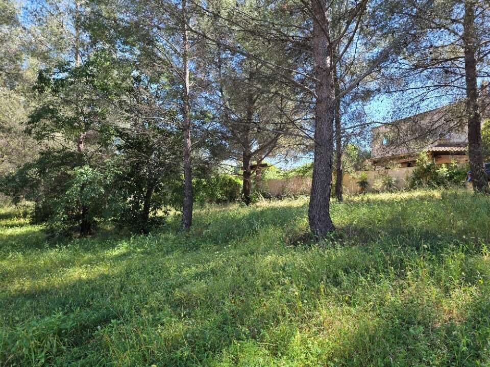 Terrain 700 m² à La Seyne-Sur-Mer  - photo 2