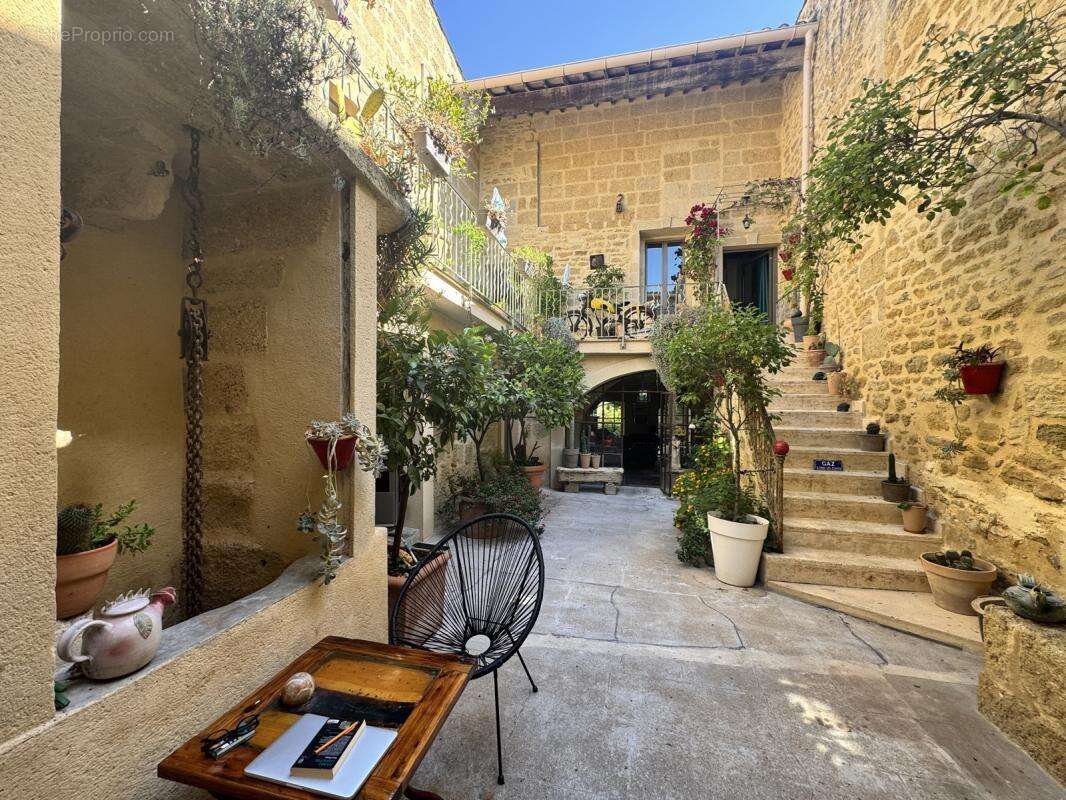 Belle maison de village avec patio, jardin, garage et T2 - photo 2
