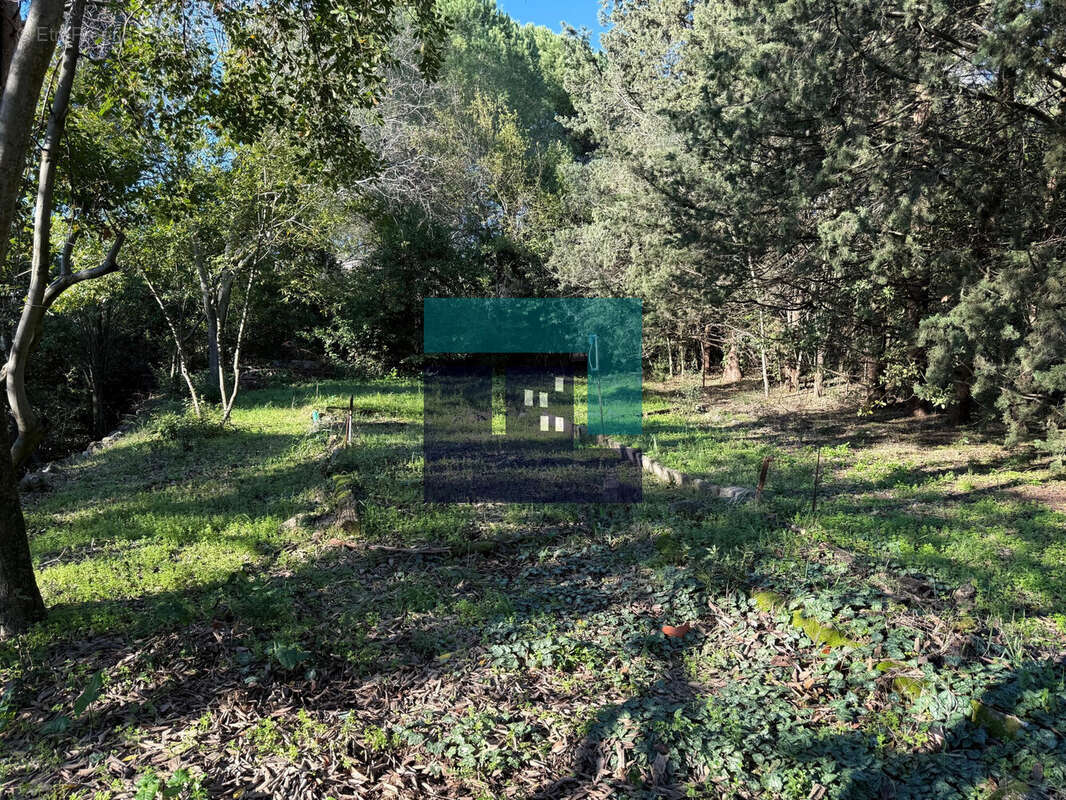 Terrain à MONTPELLIER