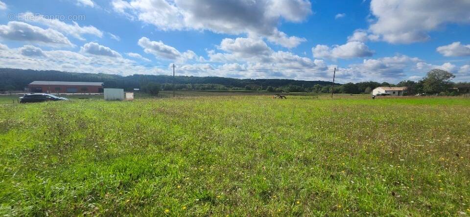 Terrain à SAINT-GAUZENS
