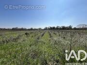 Photo 1 - Terrain à CODOLET