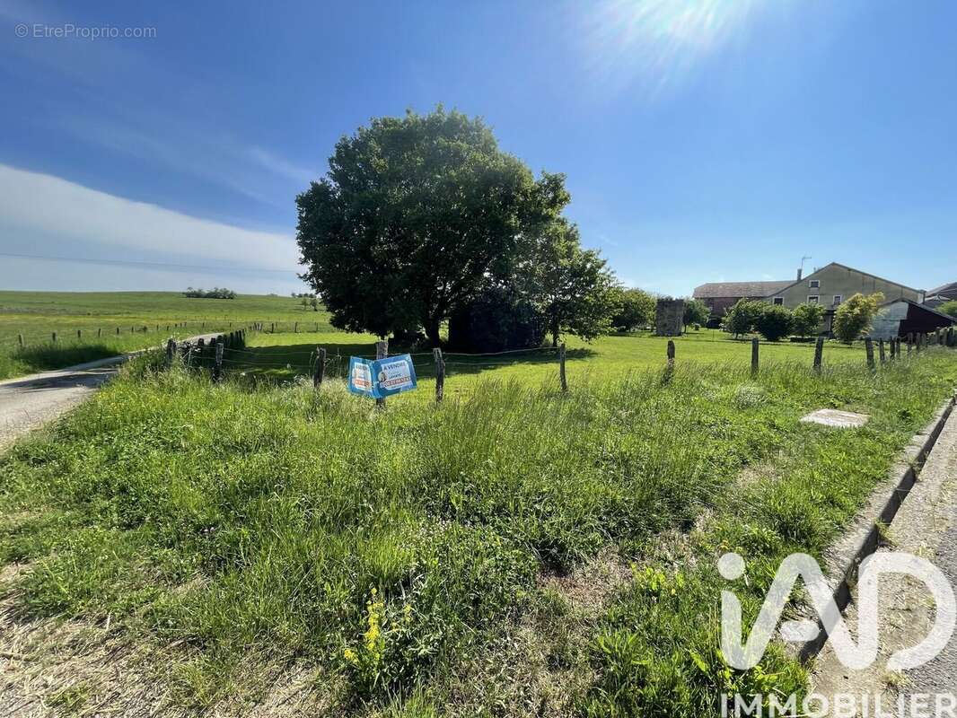 Photo 4 - Terrain à CELLES-EN-BASSIGNY