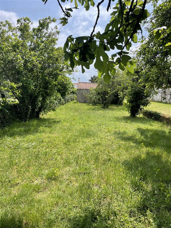 Terrain à LA GUERINIERE