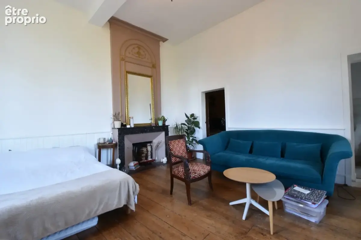 Propriete équestre et son château, à vendre 14 pièces LE TEMPLE SUR LOT (47) - photo 14