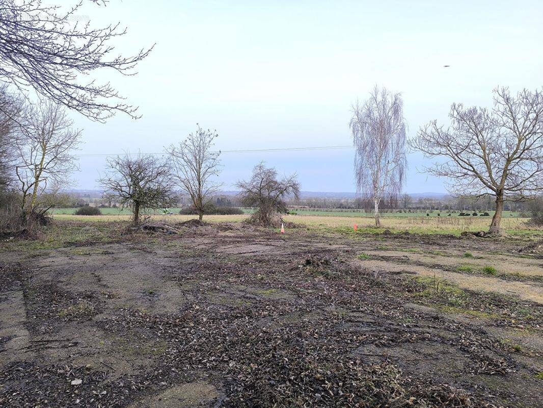 Terrain à ERNEMONT-LA-VILLETTE