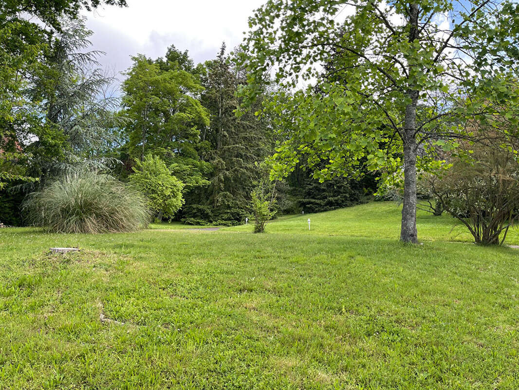 Terrain à NEAUPHLE-LE-CHATEAU