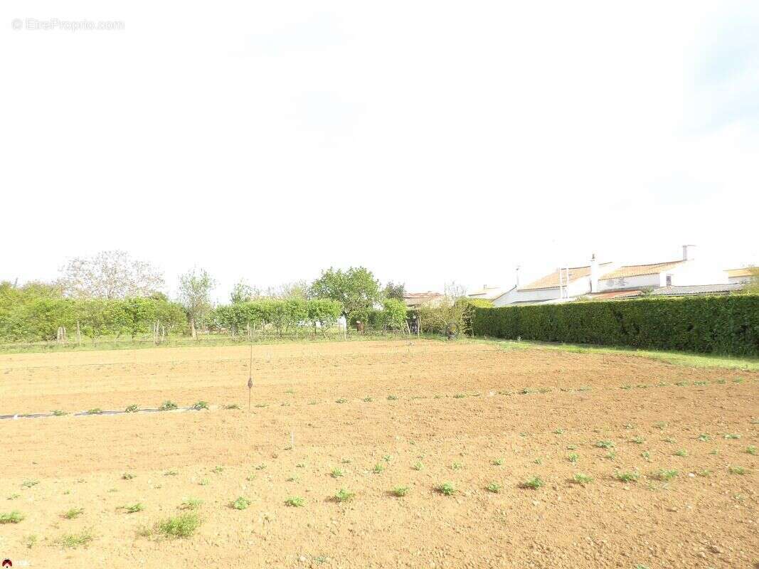 Terrain 7820 m² à Les Magnils-Reigniers  - photo 4