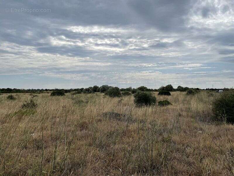 Terrain à SAINT-HIPPOLYTE