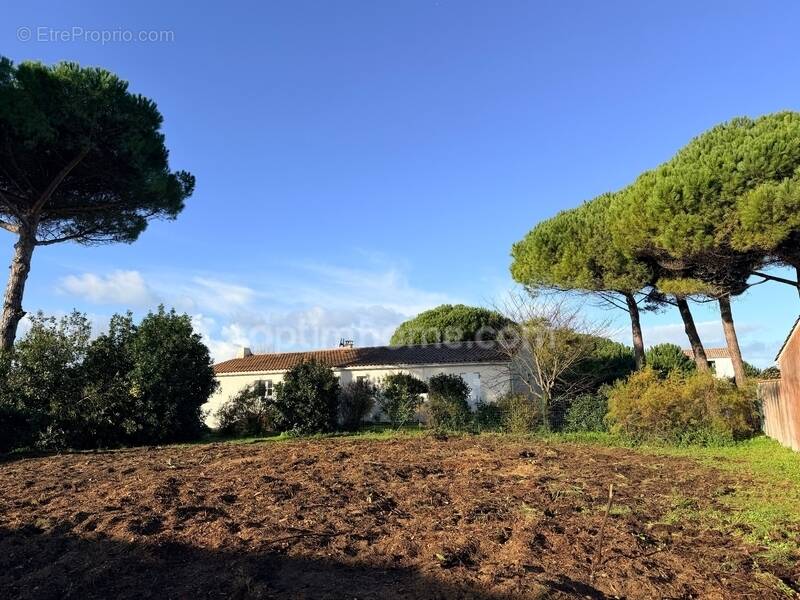 Terrain à LE BOIS-PLAGE-EN-RE