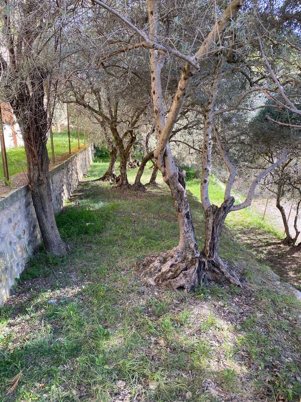 A VENDRE Oraison Demeure de 424 m2 sur 1800 m2 - photo 17