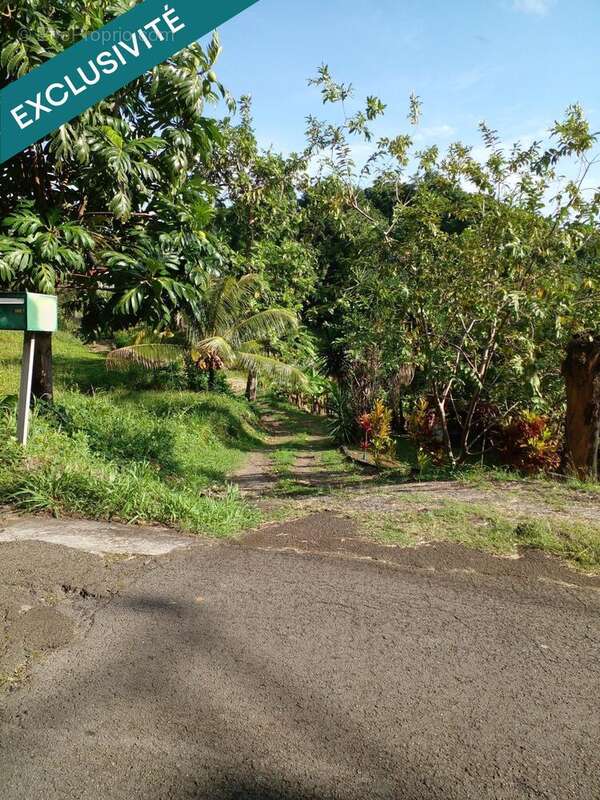 Photo 2 - Terrain à LE ROBERT