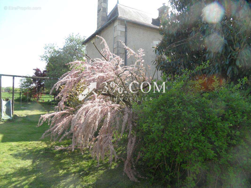 3%.com belle propriete sur 13306 m2 - photo 9