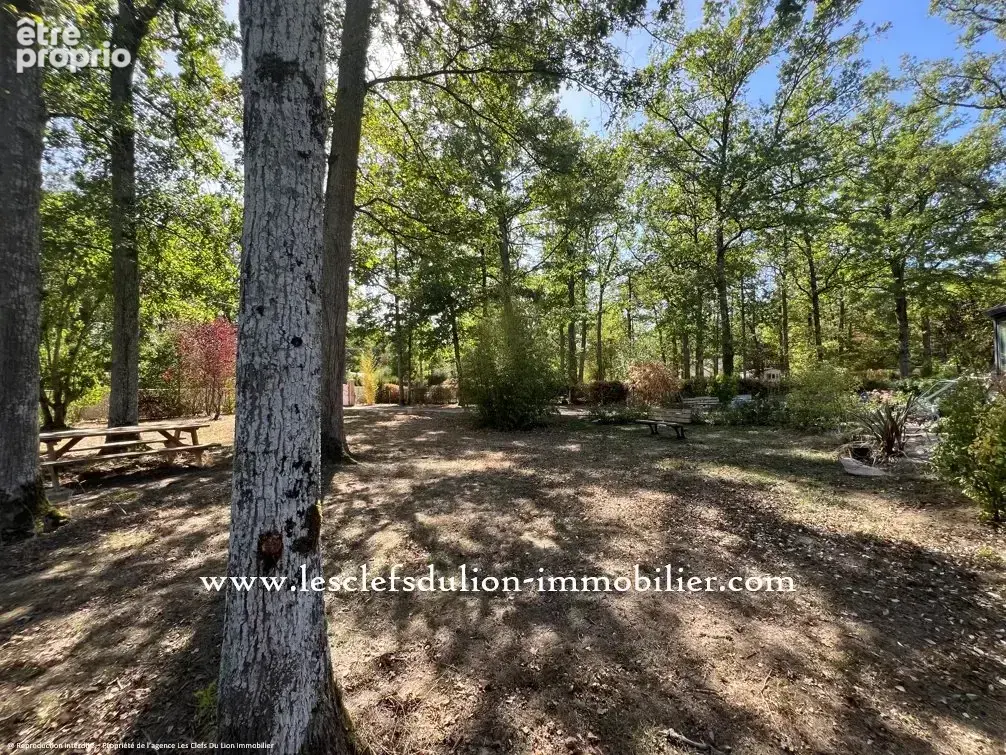 Maison traditionnelle de 2019 sur parc boisé. - photo 5