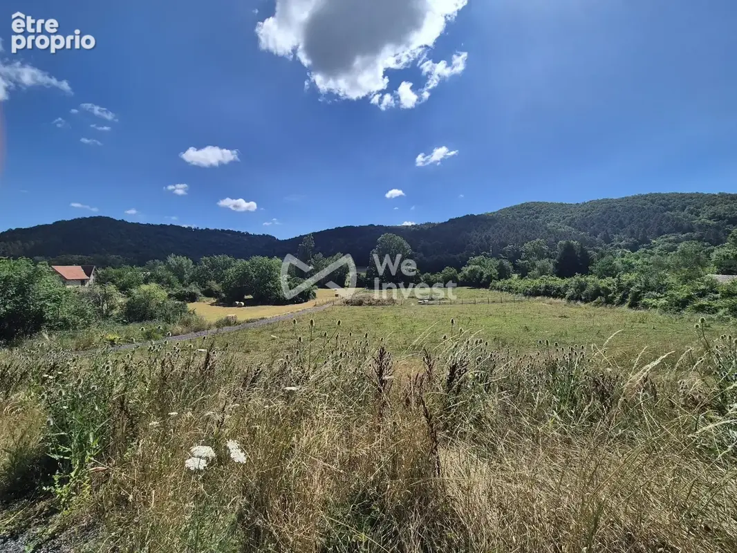 Terrain 10 136 m² à vendre à Manses (09500) - photo 3