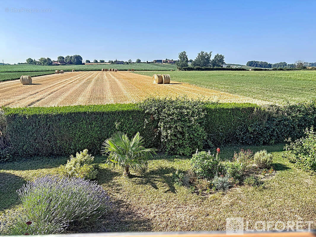 Maison individuelle - photo 6