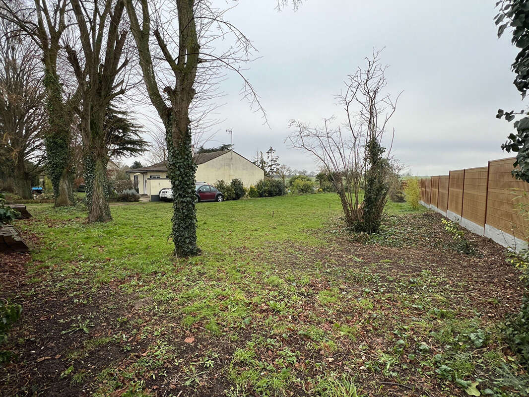 Terrain à BAZAINVILLE