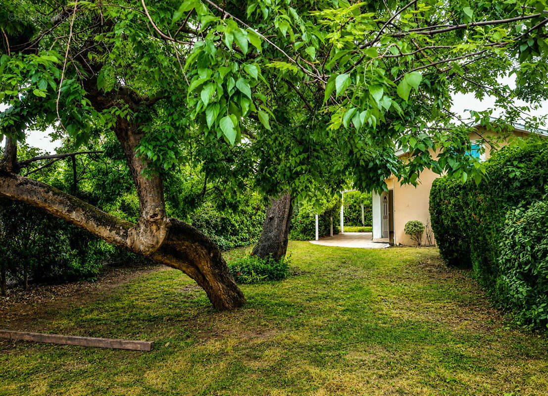 Maison à TOULOUSE