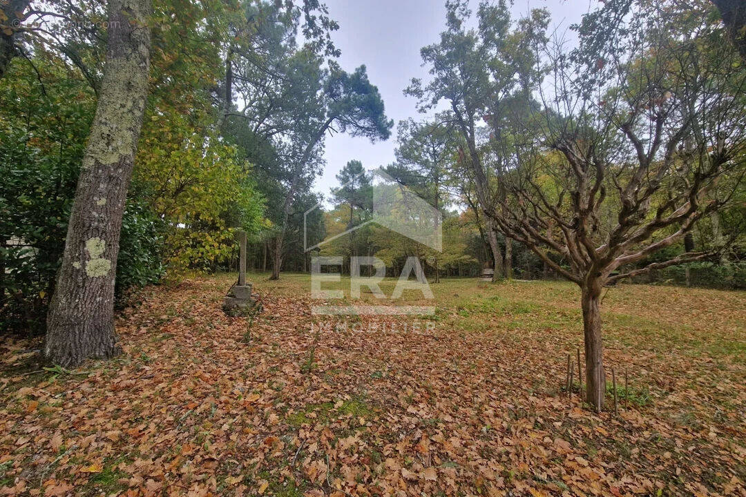 Terrain à SAINT-PALAIS-SUR-MER