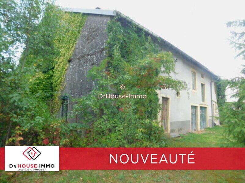 Maison à PROVENCHERES-LES-DARNEY