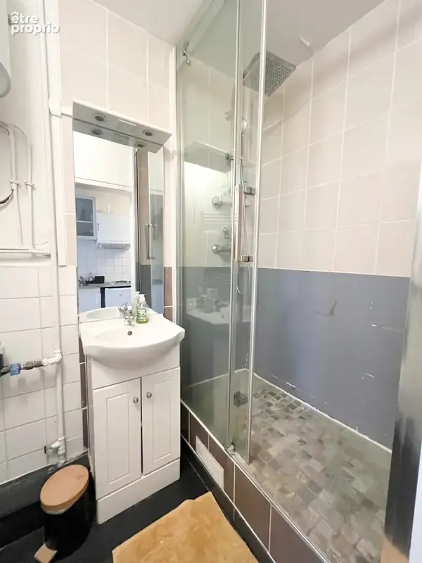 Appartement T2   Idéal investisseur   Chambéry   22 m2 - photo 6