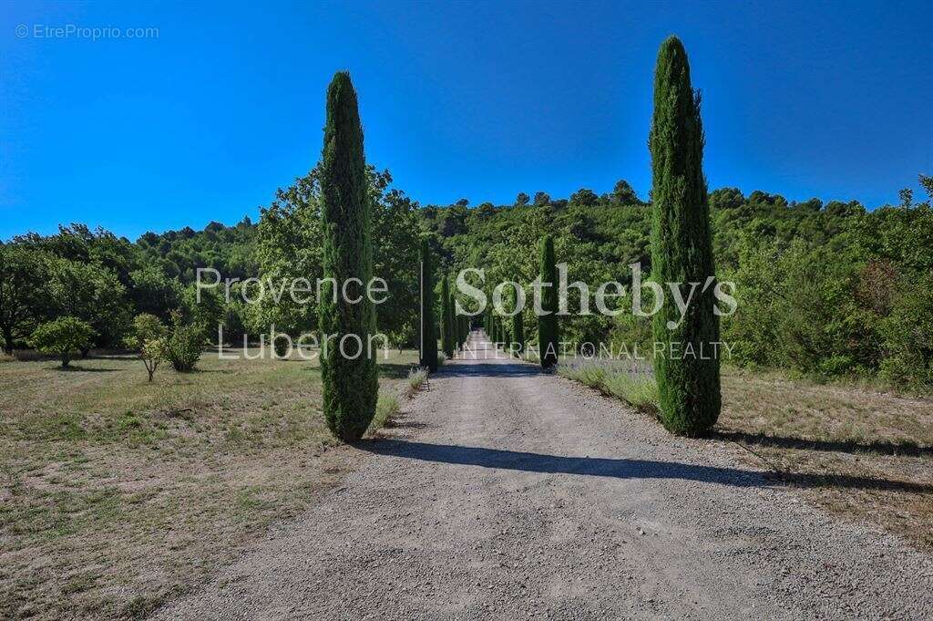 Propriété de charme avec vues sur Gordes, au cœur d’un écrin naturel - photo 19