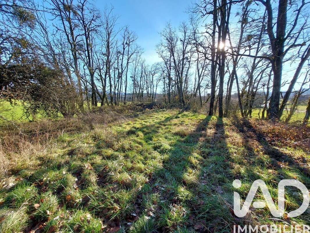 Photo 5 - Maison à SAINT-HYMETIERE