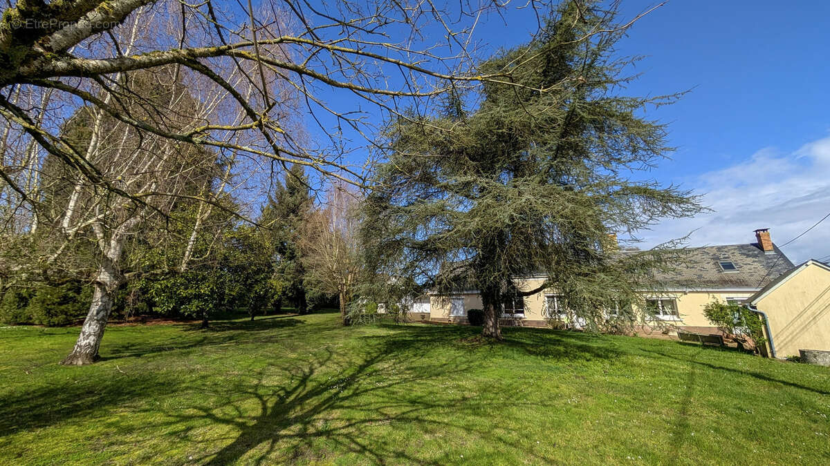 Maison à REQUEIL