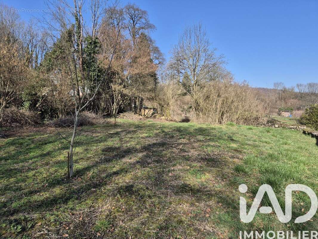 Photo 5 - Terrain à RAUCOURT-ET-FLABA