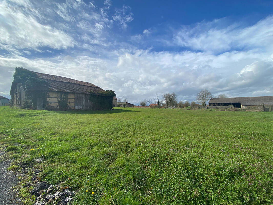 Terrain à PUELLEMONTIER