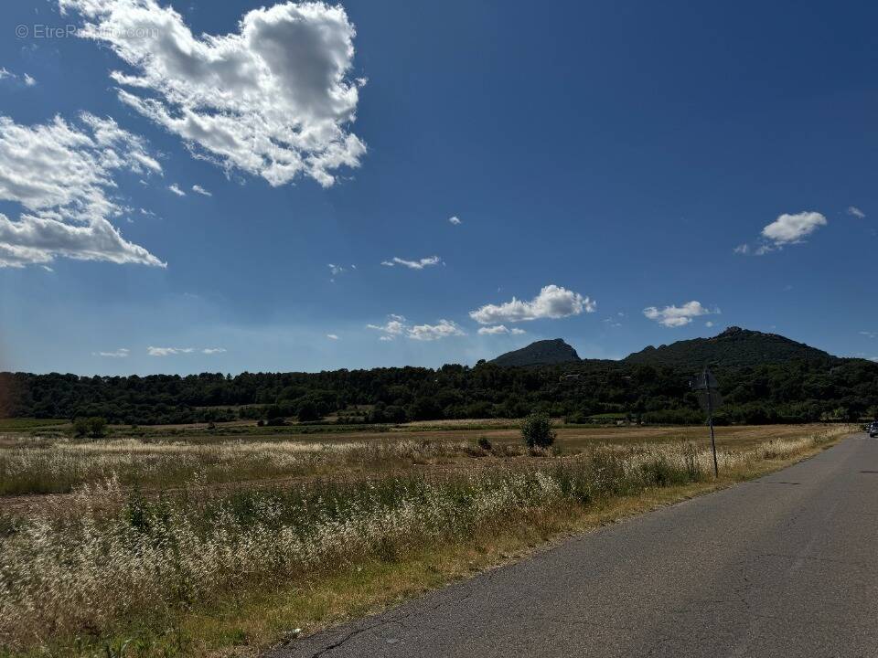 Terrain à SAINT-MATHIEU-DE-TREVIERS